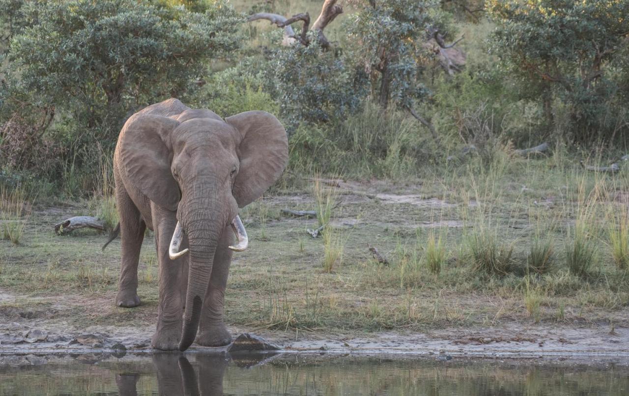 Tamboti River Lodge Hectorspruit Exteriör bild