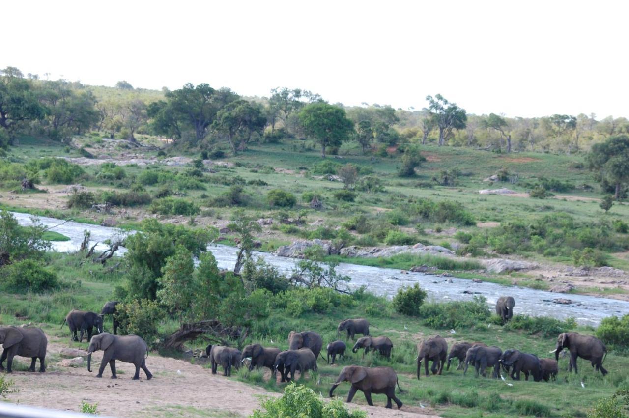 Tamboti River Lodge Hectorspruit Exteriör bild